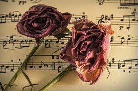 And slowly, you will also to make your practice easier, you can also purchase the midi file of fur elise, so that you can practice. 9 Things You Didn T Know About Fur Elise