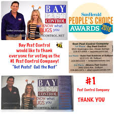 Every pest is a threat to mobile homes. Sunheraldpeopleschoice Hashtag On Twitter