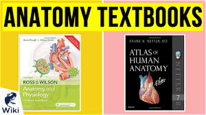 A coloring book assists with that problem. Top 10 Anatomy Textbooks Of 2020 Video Review