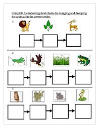 Teaching with printable worksheets helps to reinforce skills by allowing students to use. Food Chain Activity Coloring Worksheet Grade Math Term Fundamental Concepts Of Geometry Food Chain Coloring Worksheet Worksheet Multiplication Games Free For 3rd Graders Middle School Test Questions Variable In Math 5 Problems