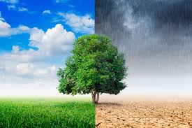 Cuál es el clima en Canadá: mejor época para ir | Live & Learn