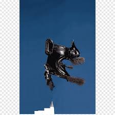 Dan ada juga yang menyebutkan jika keberadaan kucing ini tak lepas dari peran orang romawi kuno yang terdahul… Baju Besi Jepang Baju Zirah Plat Anjing Baju Zirah Samurai Anjing Seperti Mamalia Moncong Png Pngegg