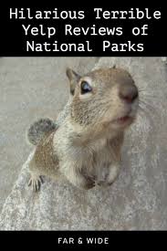 Funniest Reviews Of National Park Vacations Cute Funny Animals Funny Animal Memes Funny Animals