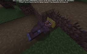 Starting out as a youtube channel making minecraft adventure maps, hypixel is now one of the largest and highest quality minecraft server . Funny Minecraft Bedrock Edition Bugs R Minecraft