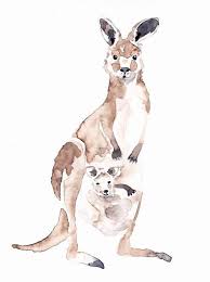 Mom Kangaroo With Baby Original Watercolor Painting Kangaroo Watercolor Mom And Baby Illustration Mom An Kangaroo Illustration Kangaroo Art Kangaroo Drawing
