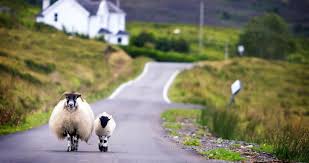 Weitere ideen zu schottland reisen, schottland, schottland urlaub. Schottland Mietwagenrundreisen Schottland Autoreisen Nordica Reisen