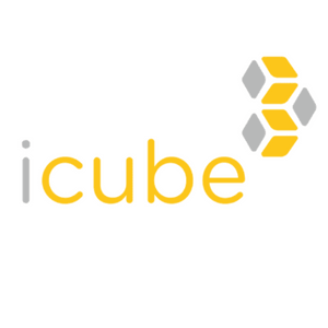 Logo iCube - Castel