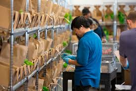 Maybe you would like to learn more about one of these? Micro Warehouses For Online Grocery Pickup The Future Of Click And Collect Marketscale