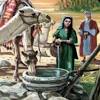 She asked the servant who he was and when she found out it was isaac, she pulled a veil over her face. Https Encrypted Tbn0 Gstatic Com Images Q Tbn And9gcrapiglblvr4zpxntlvrriybfmvycuyyamvcbnemo5 1wvtdjya Usqp Cau