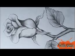 رسم سهل رسم وردة سهلة رسم وردة بسيطة وجميلة بقلم الرصاص تعليم الرسم how to draw a rose easy youtube cool drawings cute drawings easy drawings