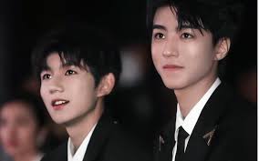 Vương Tuấn Khải và Vương Nguyên sẽ hội tụ tham gia show mới ?