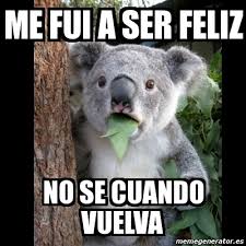 pronto letra de ya me fui. Meme Koala Me Fui A Ser Feliz No Se Cuando Vuelva 3932603