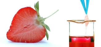 The experiment commenced by squishing the. How To Extract Dna From A Strawberry With Basic Kitchen Items Science Experiments Wonderhowto