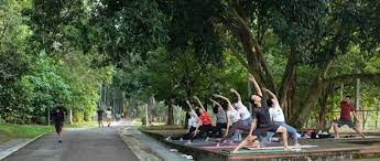 Ismail in petaling jaya, you may want to consider going to lembah kiara park. The Thriving Township Of Taman Tun Dr Ismail Tun Razak Exchange