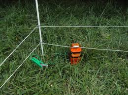 An electric fence is a neat, highly efficient way to keep livestock where they belong. Gallagher Landscape Garden Flower Bed Protection Kit Electric Fence Gallagher Electric Fencing From Valley Farm Supply