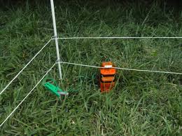 An electric fence consists of an open electrical circuit comprising of two arms. Gallagher Landscape Garden Flower Bed Protection Kit Electric Fence Gallagher Electric Fencing From Valley Farm Supply