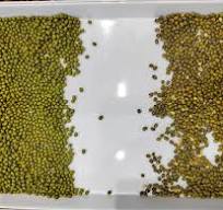 China Best Image Color Sorter Beans Color Sorter With Quite ...