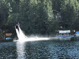 In evoworld you must eat others and evolve to the strongest creature. Flyride Picture Of Sunshine Flyrides Sechelt Tripadvisor