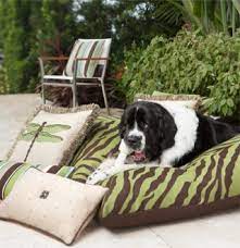 Our friendly staff make every effort to make sure our customers are comfortable with their selections, knowing that. Want A Pet Friendly Patio 3 Tips For Selecting Furniture Today S Patio