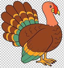 Turkey Png Turkey Thanksgiving Clip Art Thanksgiving Turkey Pictures Turkey Clip Art