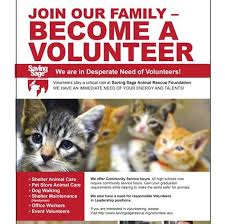 Join the san diego zoo wildlife alliance by becoming a member, help fund conservation projects, volunteer your time and knowledge. Petco Volunteers Hallandale Come Care For Our Cats Saving Sage Animal Rescue Foundation Inc Opportunity Volunteermatch