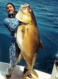 Pin By Delon Kemp On Fishing Fish Fishing Photography Tuna Fishing