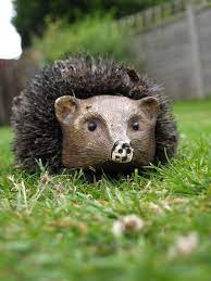 The Ballad Of The Bald Hedgehog Ballad By Darren Scanlon High On Poems Ballad Poems Hedgehog