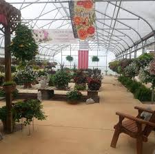 Hard to believe, but first post pandemic festival for tom's garden right around the corner. Fontana S Garden Center Home Facebook