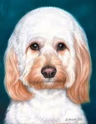 Classic Pet Portraits, 1208 N Oxford Ave, Pasadena, CA 91104, US