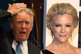 Résultat de recherche d'images pour "megyn kelly implants"