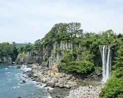 濟州島正房瀑布的圖片