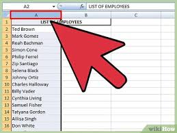 Click on expand the selection in order to move the value in the corresponding cells according to the sorting order of your presently selected cell. How To Sort Microsoft Excel Columns Alphabetically 11 Steps