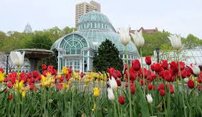 The Brooklyn Botanic Garden Has Announced An August Reopening Date Secretnyc