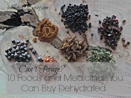 Can T Forage Foods Medicinals You Can Buy Dehydrated Wild Food Foraging Foraged Food Foraging