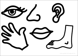 Neither should parts in your figure drawing. Coloring Book Pdf Download