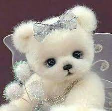 Pin By Serafina On Teddy Teddy Bear Doll My Teddy Bear Teddy Bear