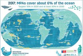 Six Visualizations That Explore The Extent Of Overfishing