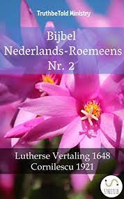 Lilac Flower Vertaling Best Flower Wallpaper