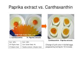 The Japanese Egg Market Trends And Expectations Hatta