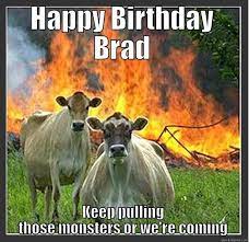 Birthday Cows Quickmeme