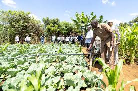 H.E President William Ruto Commissioning Mathira Community Water Project –  Tana Water Works Development Agency