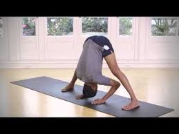 Prasarita Padottasana A Forward Bend Forward Fold Yoga Master