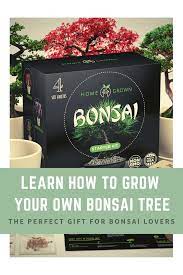 Home Grown Bonsai Tree Starter Kit Bonsai Tree Plants Plant Gifts