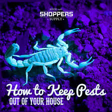 Arizona home pest control services since 1960. How To Keep Pests Out Of Your Arizona House Shoppers Supply