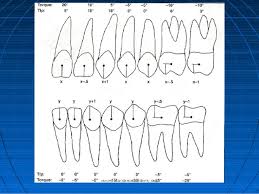 Concepts Of Orthodontic Bracket Positioning Techniques