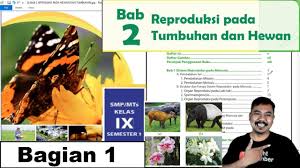 Maybe you would like to learn more about one of these? Ipa Smp Kelas 9 Bab 2 Reproduksi Pada Hewan Dan Tumbuhan Bse K13 Youtube