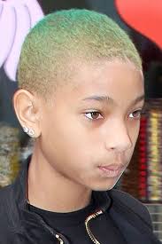 Willow smith, 20, capped off a facebook concert film posted this weekend by getting her afro shaved on stage after wrapping up a performance of her 2010 single whip my hair. 612 Celebrity Short Hairstyles Page 26 Of 62 Steal Her Style Page 26