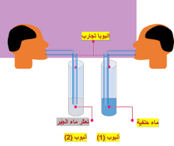 مكونات الهواء الأكسجين ثاني أكسيد الكربون بخار الماء آزوت نيتروجين هيدروجين ايقاظ علمي سنة سادسة علوم سنة سادسة سنة سادسة ابتدائي Gaming Logos Logos