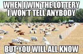 Pin By This Little Farmhouse On For The Love Of Two Goats Goats Funny Farm Humor Goat Quote