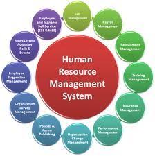 Process Of Human Resource Management System Human Resource Management Human Resources Human Resource Management System